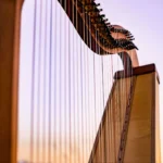 Böhmische Hakenharfe, Harp in the Dark