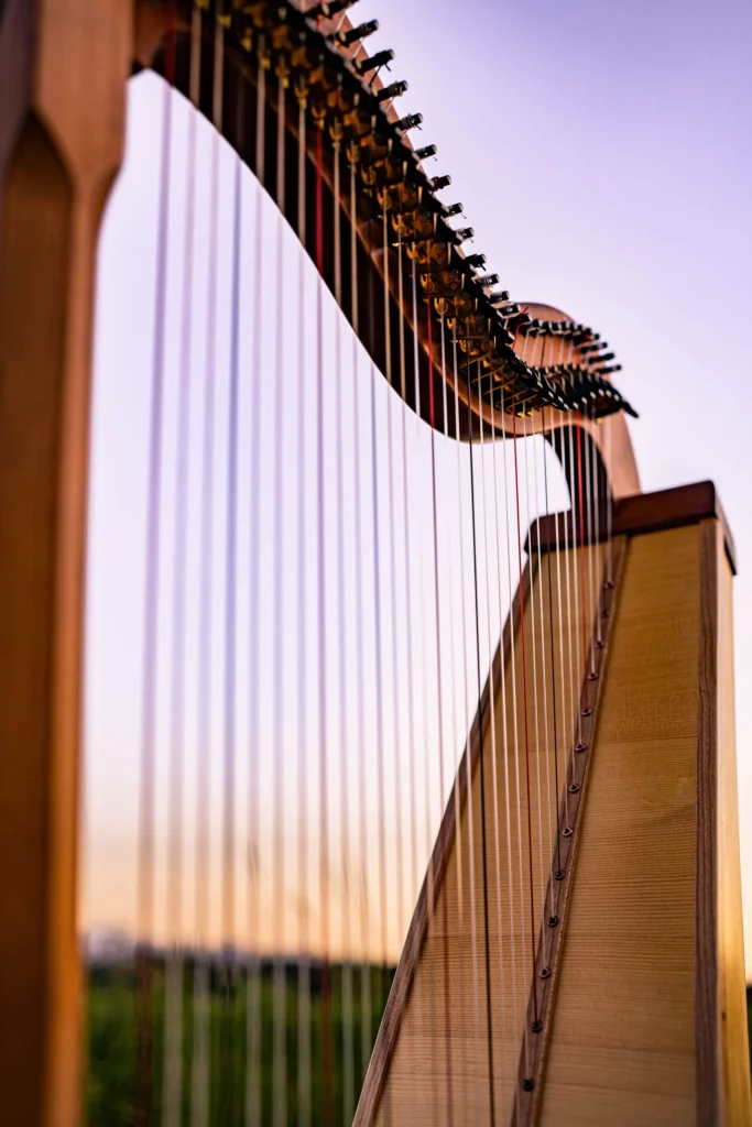 Böhmische Hakenharfe, Harp in the Dark